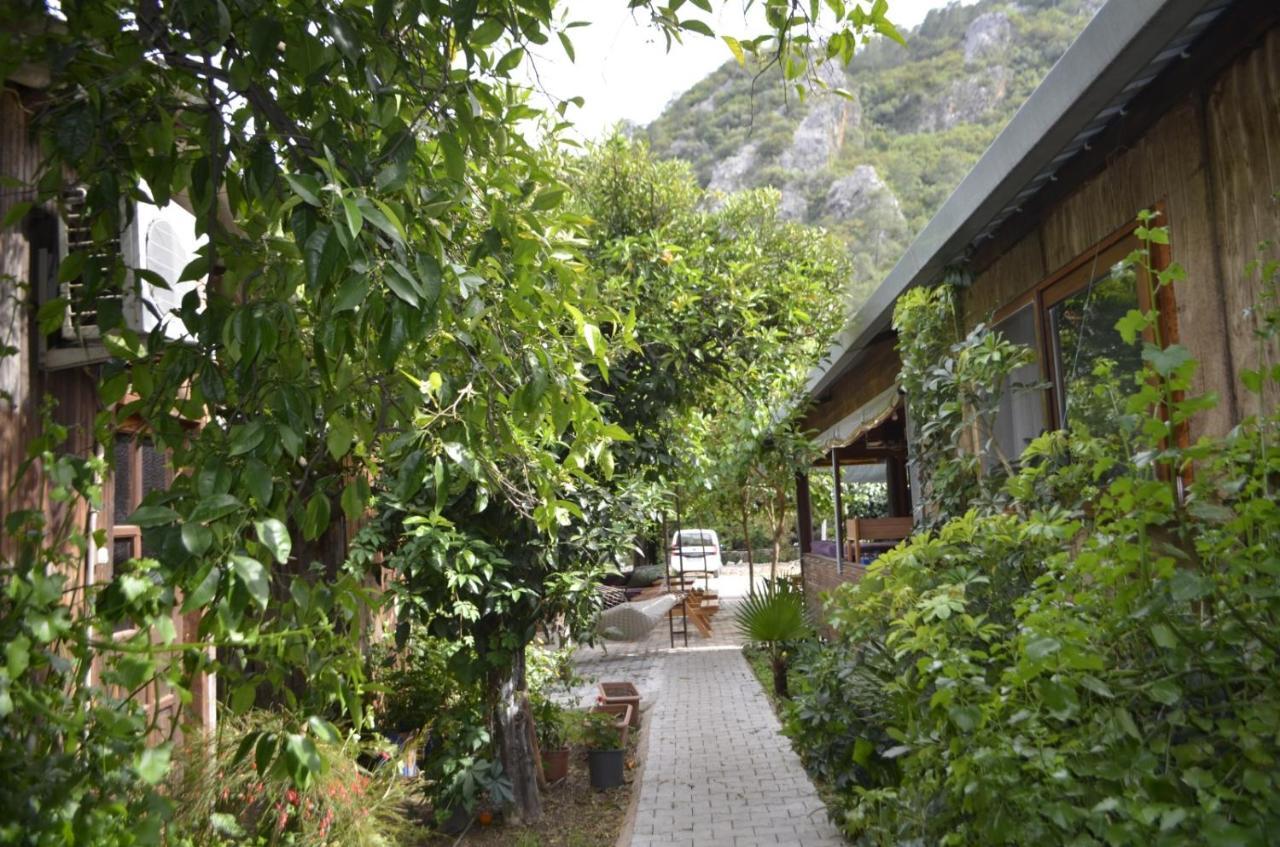 Mercan Pension Olympos Extérieur photo