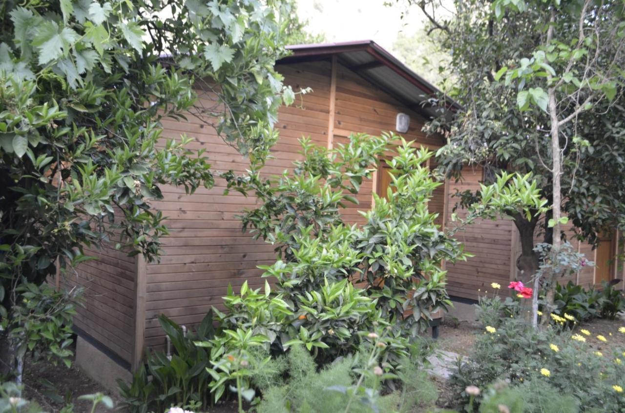 Mercan Pension Olympos Extérieur photo
