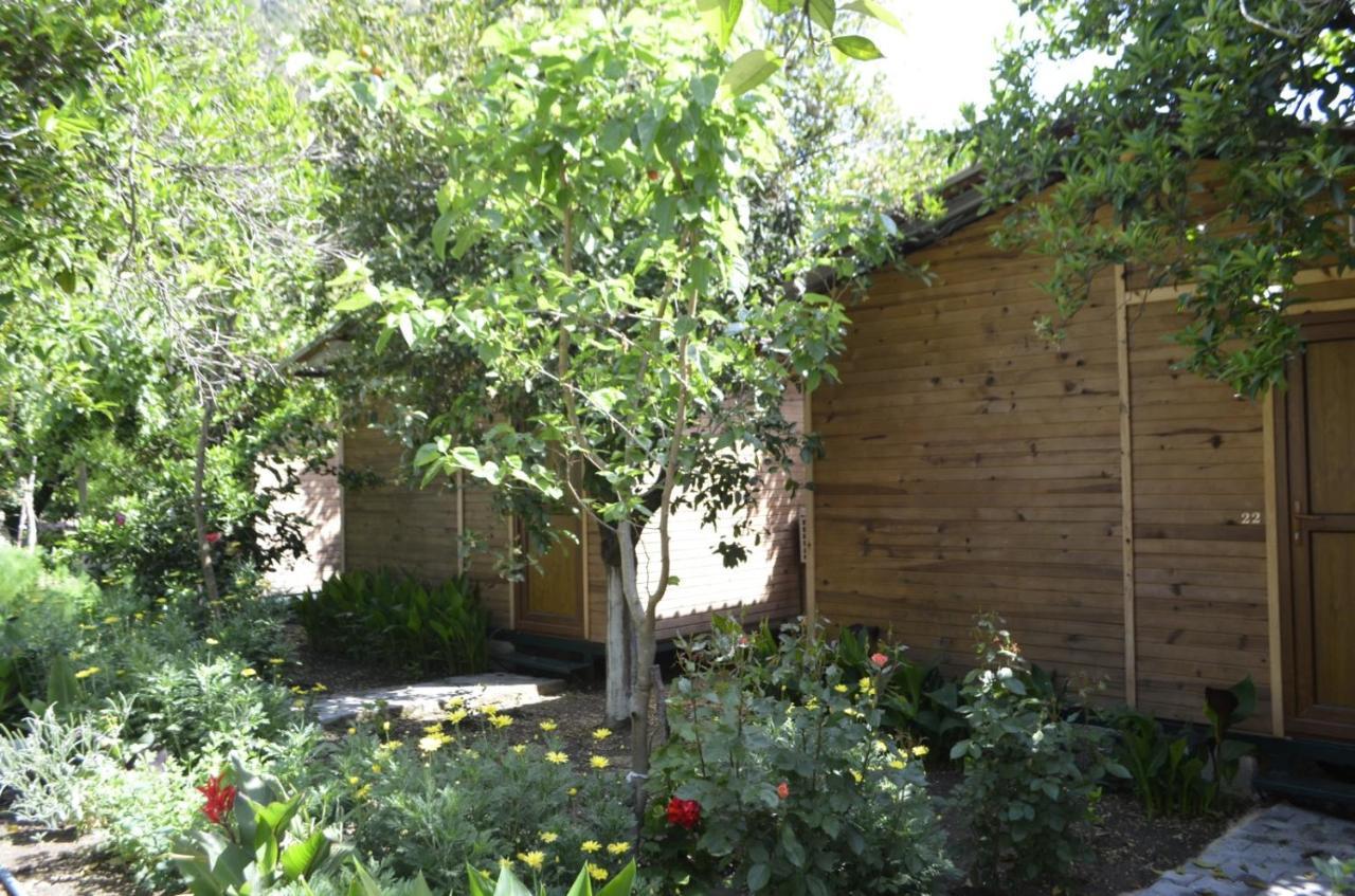 Mercan Pension Olympos Extérieur photo