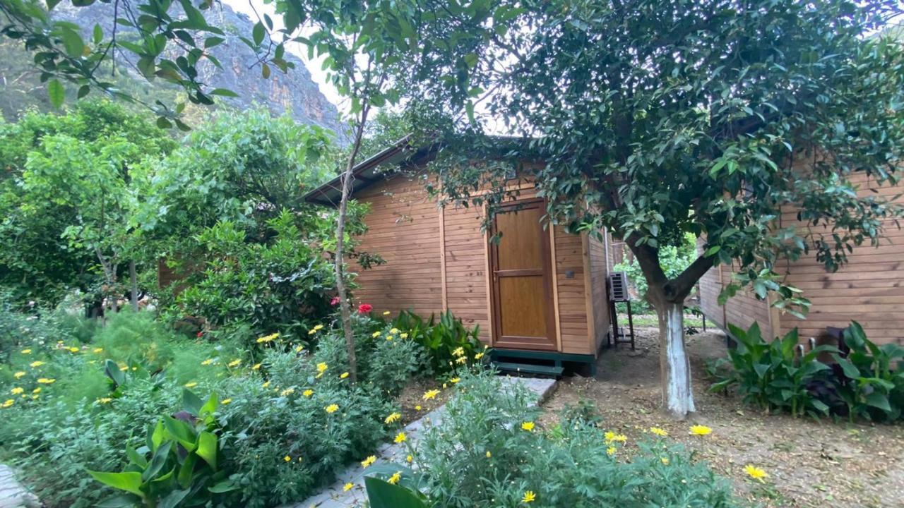 Mercan Pension Olympos Extérieur photo