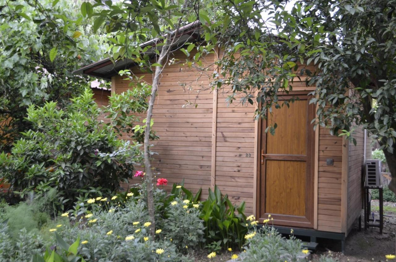 Mercan Pension Olympos Extérieur photo