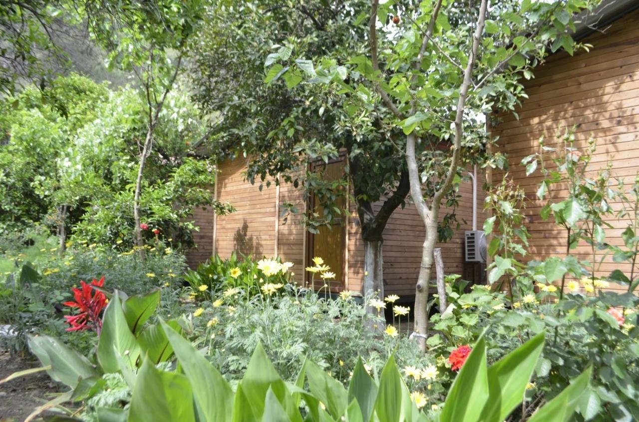 Mercan Pension Olympos Extérieur photo