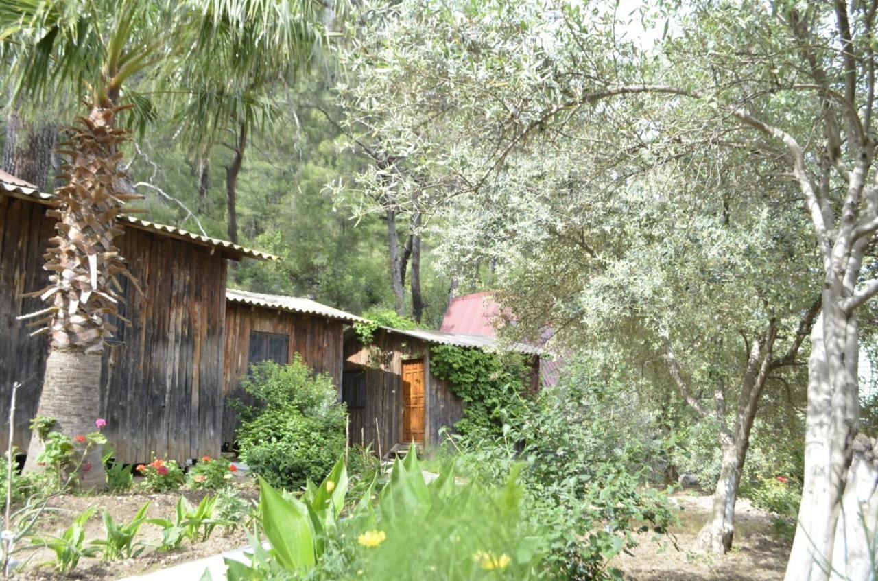 Mercan Pension Olympos Extérieur photo