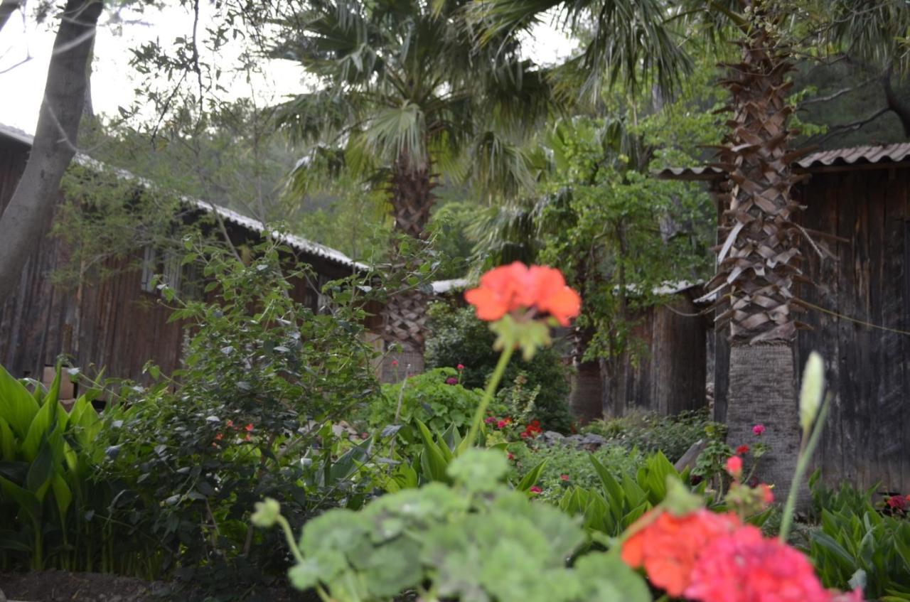 Mercan Pension Olympos Extérieur photo