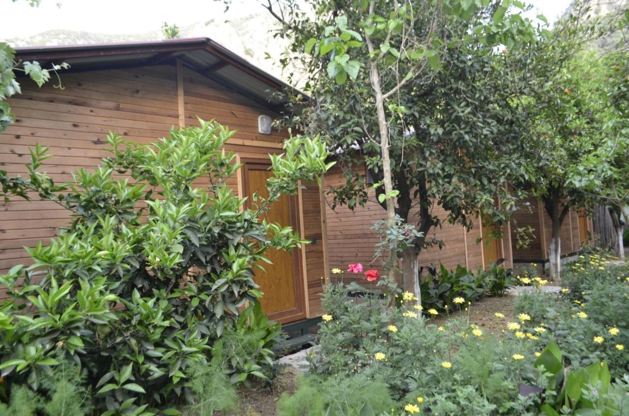 Mercan Pension Olympos Extérieur photo