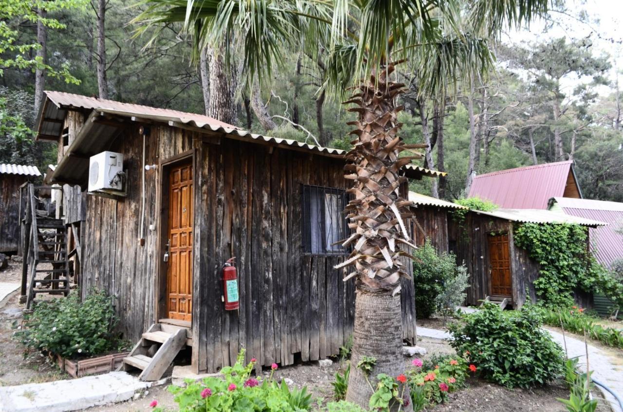 Mercan Pension Olympos Extérieur photo