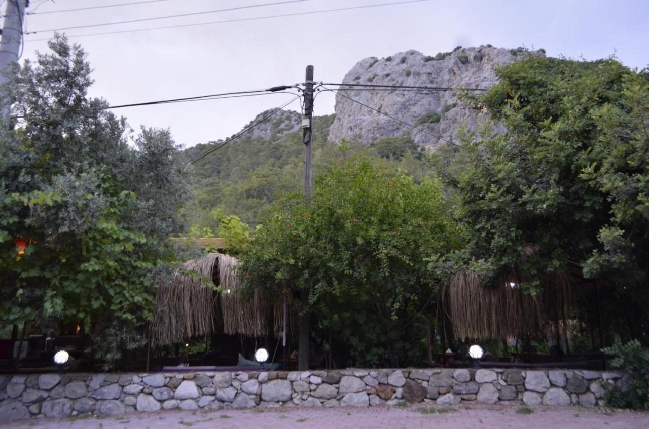 Mercan Pension Olympos Extérieur photo