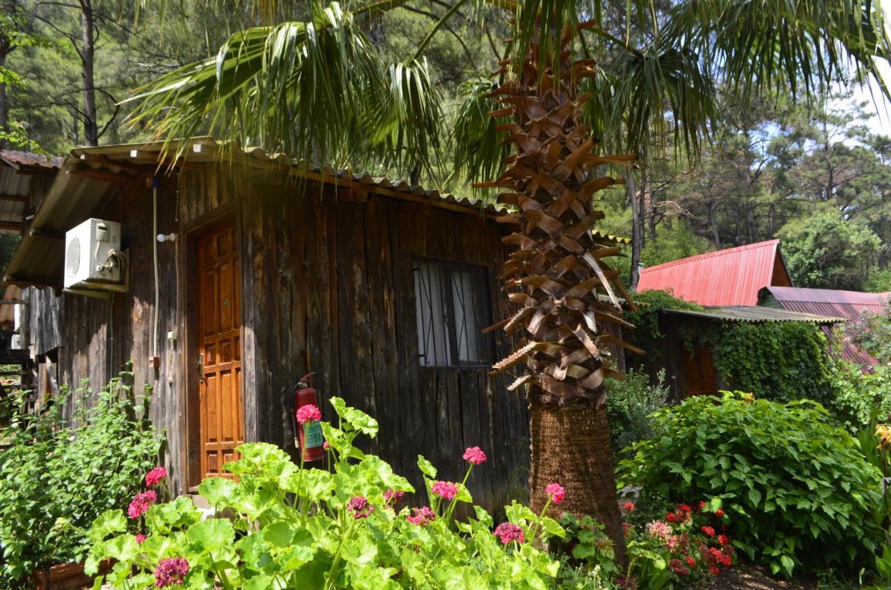Mercan Pension Olympos Extérieur photo