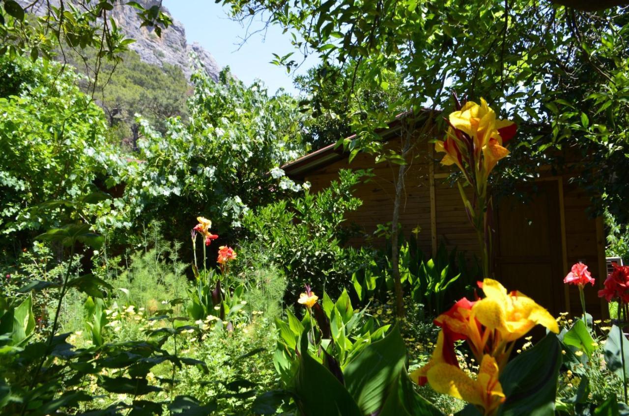 Mercan Pension Olympos Extérieur photo