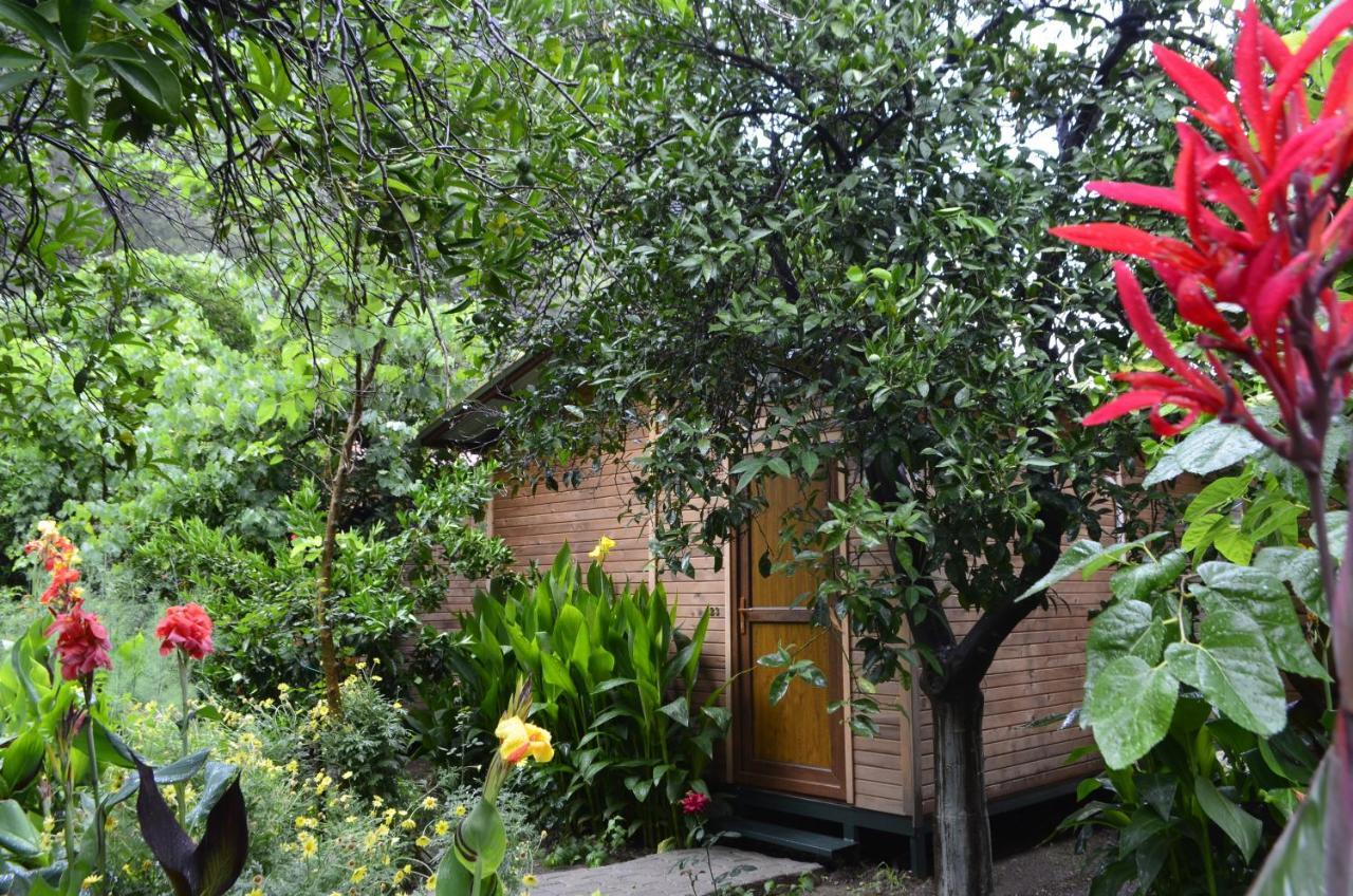 Mercan Pension Olympos Extérieur photo