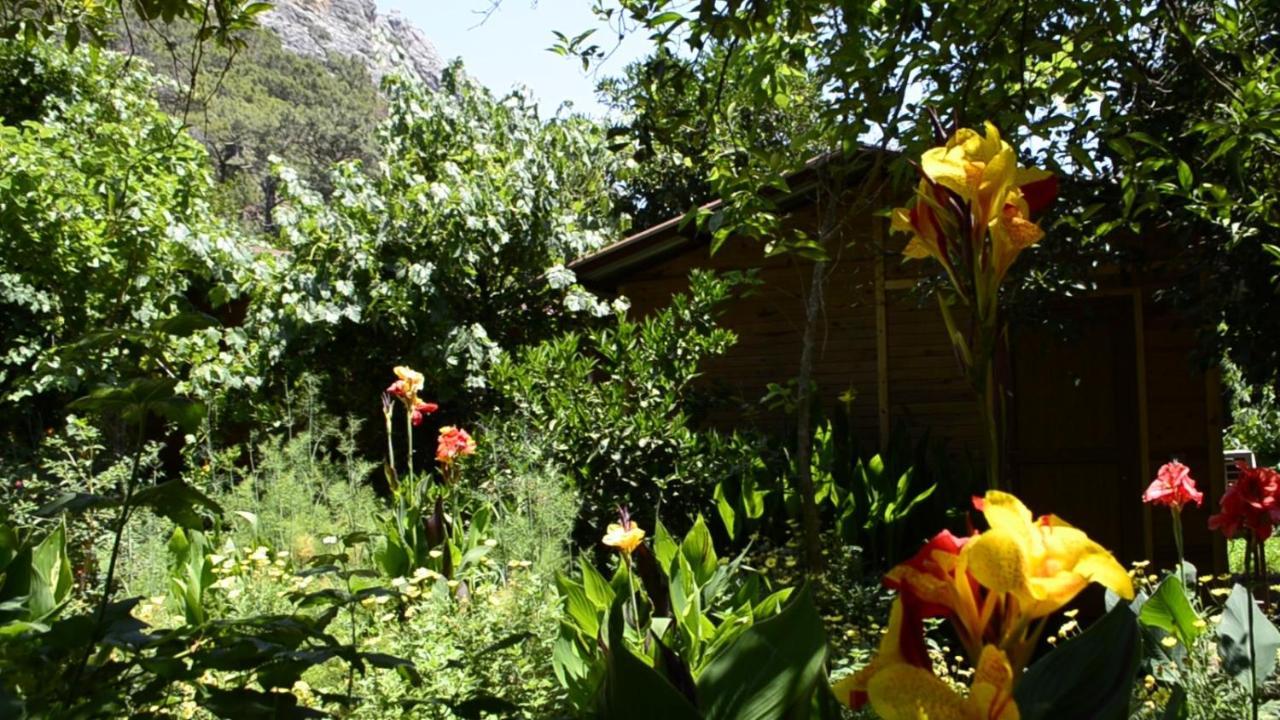 Mercan Pension Olympos Extérieur photo