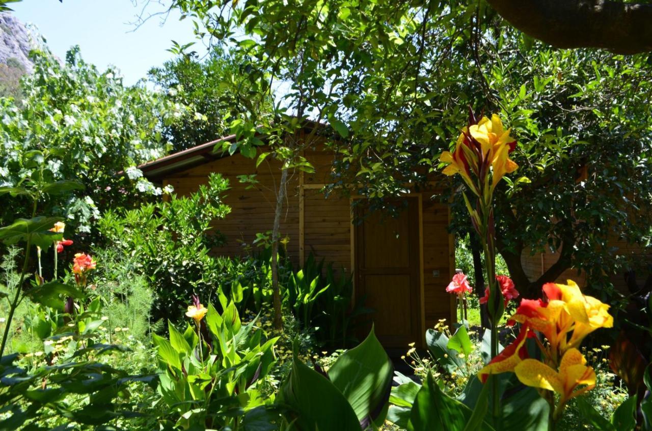 Mercan Pension Olympos Extérieur photo