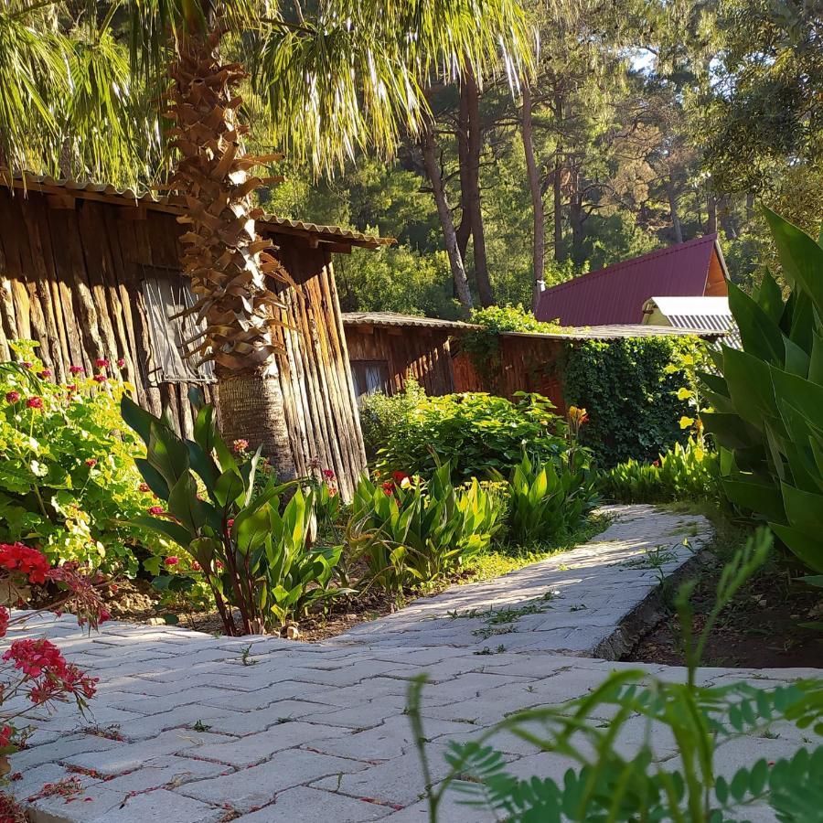 Mercan Pension Olympos Extérieur photo