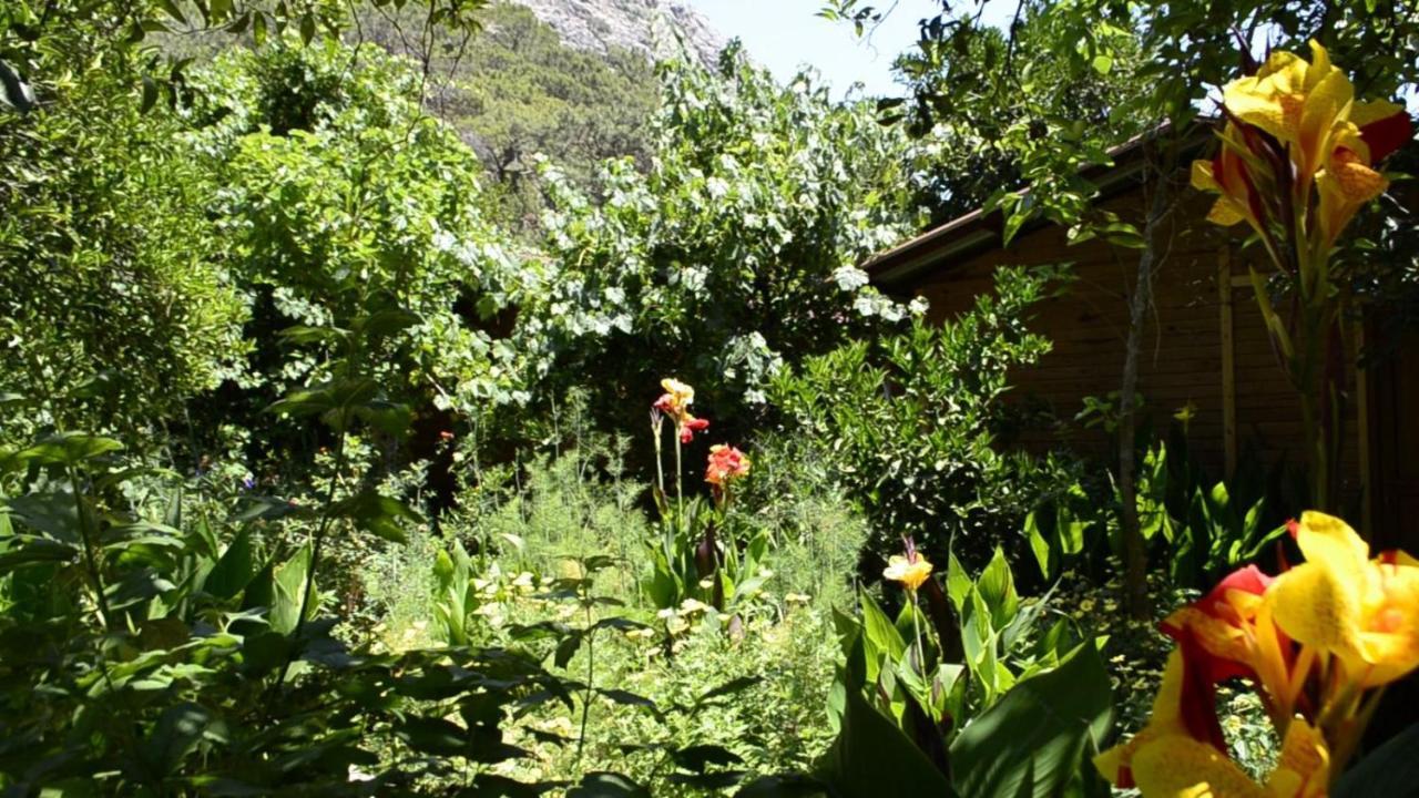 Mercan Pension Olympos Extérieur photo
