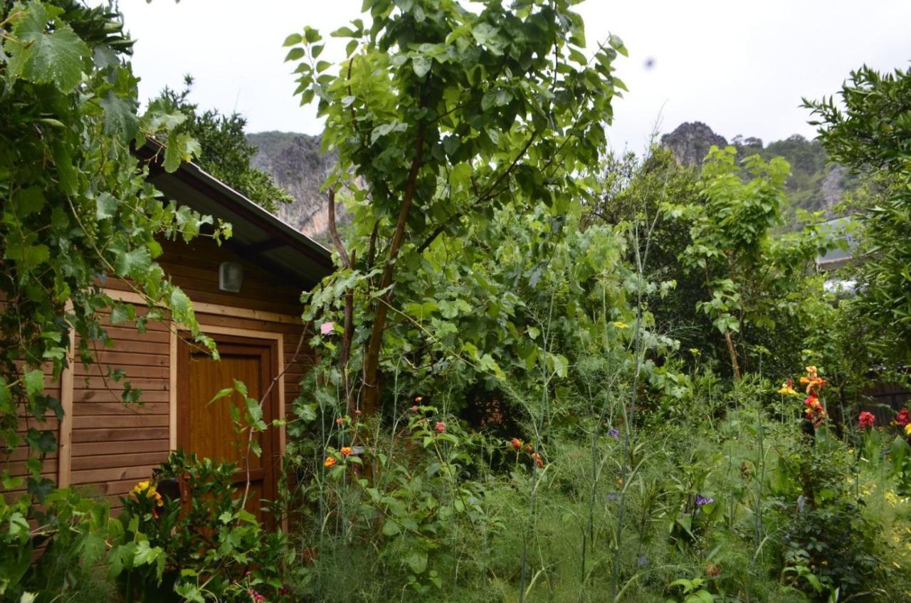 Mercan Pension Olympos Extérieur photo